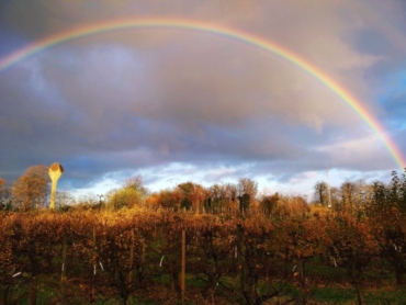 A rainbow